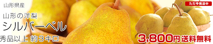 ����С��٥�