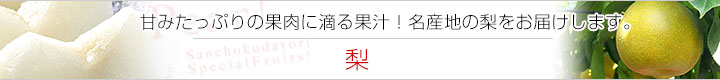 Ծ촧