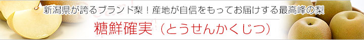 μ