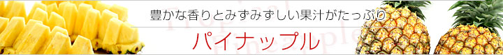 ѥʥåץ