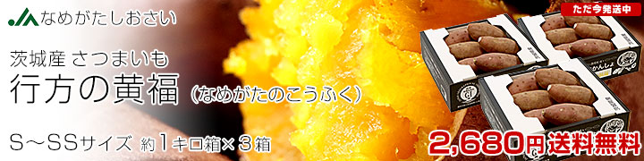 βʡSSS