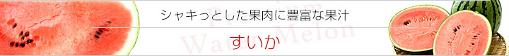 Ծ쥹ݥå