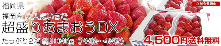 ޤDX1080g