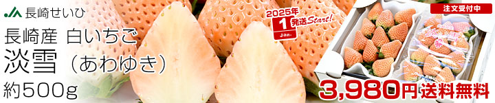 ø