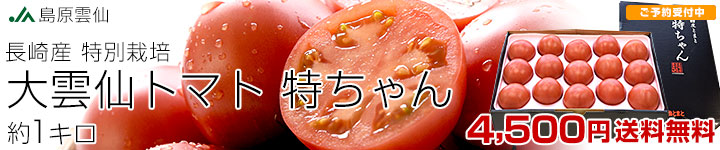大雲仙トマト
