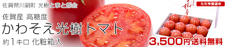 光樹 トマト