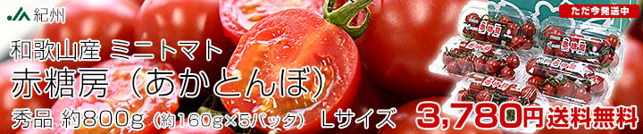  ˼ʤȤܡ