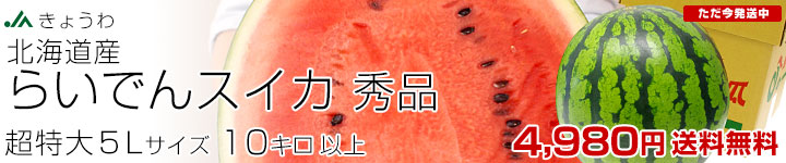 餤Ǥ󥹥