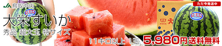 ɥ1