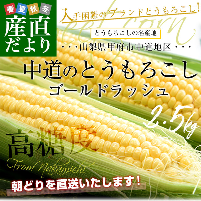 ƻɥå塡2.5