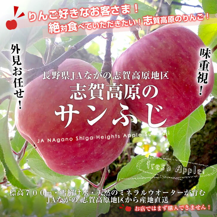 長野県より産地直送 JAながの 志賀高原のサンふじリンゴ ご家庭用 約5キロ (12玉から20玉) 送料無料 林檎 りんご リンゴ ｜産直だよりの通販・お取り寄せなら【ぐるすぐり】