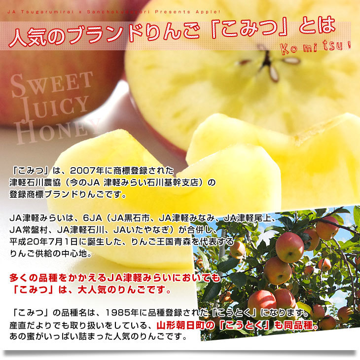青森県産 JA津軽みらい 蜜入りりんご「こみつ」 秀品 2キロ (7玉から12