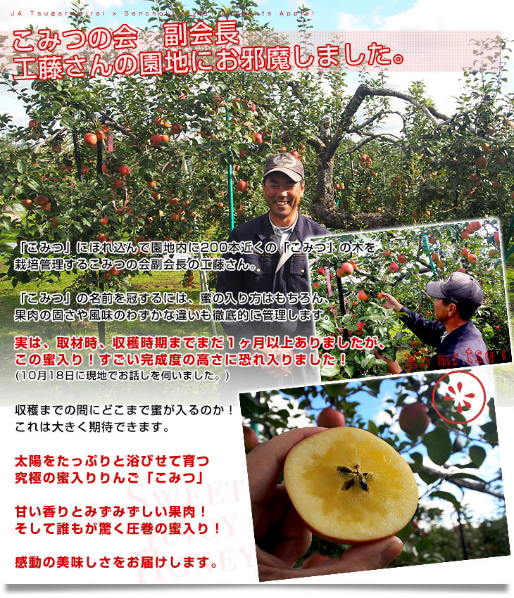 青森県産 JA津軽みらい 蜜入りりんご「こみつ」 秀品 2キロ (7玉から12