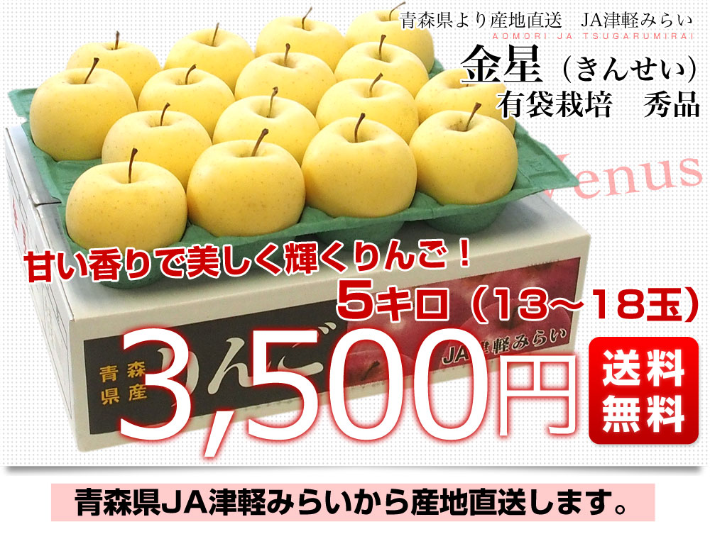 青森県産  金星  りんご  家庭用 10kg  産地直送 リンゴ 林檎わがまま詰め合わせセット
