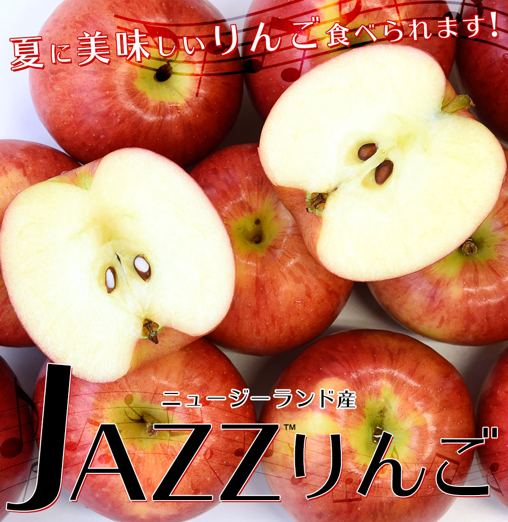 ニュージーランド産 JAZZりんご(品種:サイフレッシュ)約2キロ(11玉から 