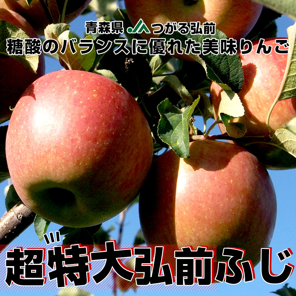 りんご10kg(1kg＝4ー7個)