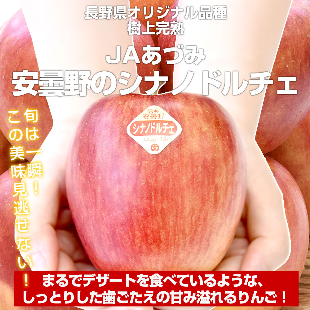 長野県産 JAあづみ 安曇野 シナノドルチェ 約3キロ （10玉から12玉）林檎 りんご 送料無料 市場発送 市場発送商品 産直だより