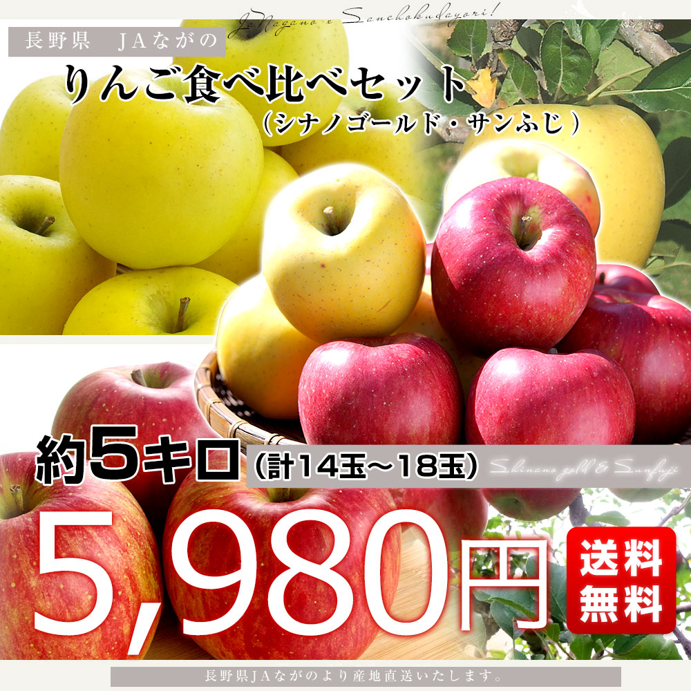 長野県より産地直送 JAながの りんご食べ比べ！ りんごセット約5キロ （シナノゴールド・サンふじ 計14玉から18玉）送料無料 りんご　 林檎-産直だより