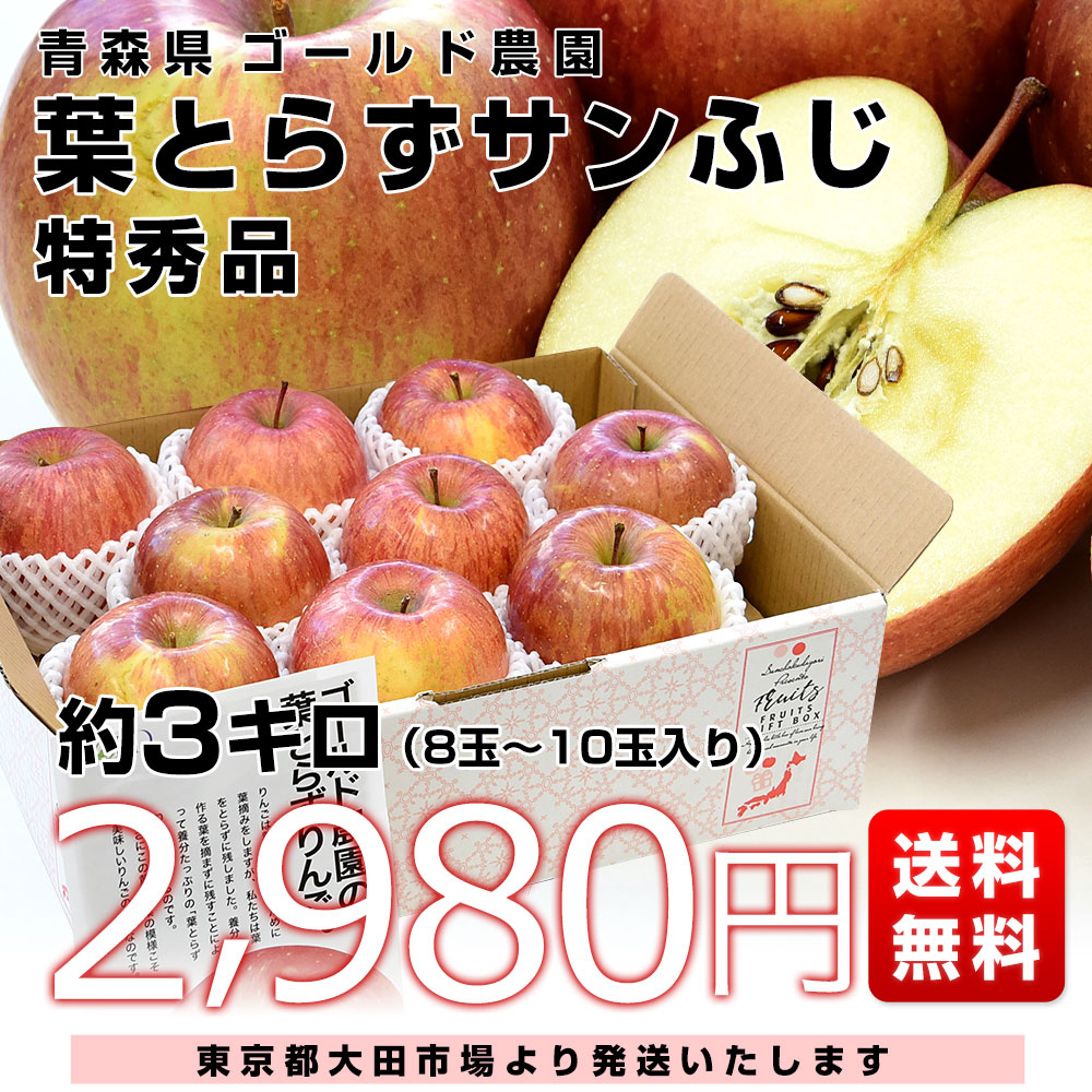 青森県産りんご葉とらずサンふじ家庭用3キロ