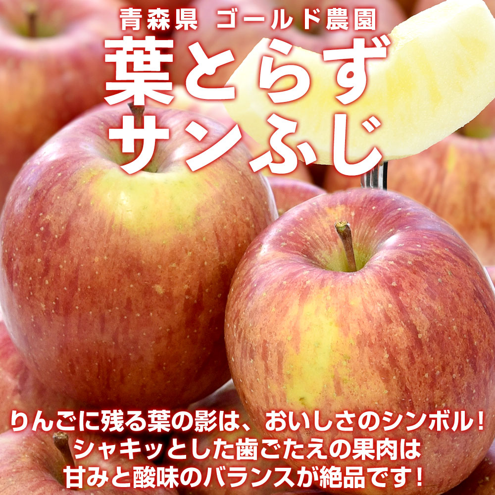 青森県産 ゴールド農園 葉とらずサンふじりんご 特秀品 合計約6キロ(3