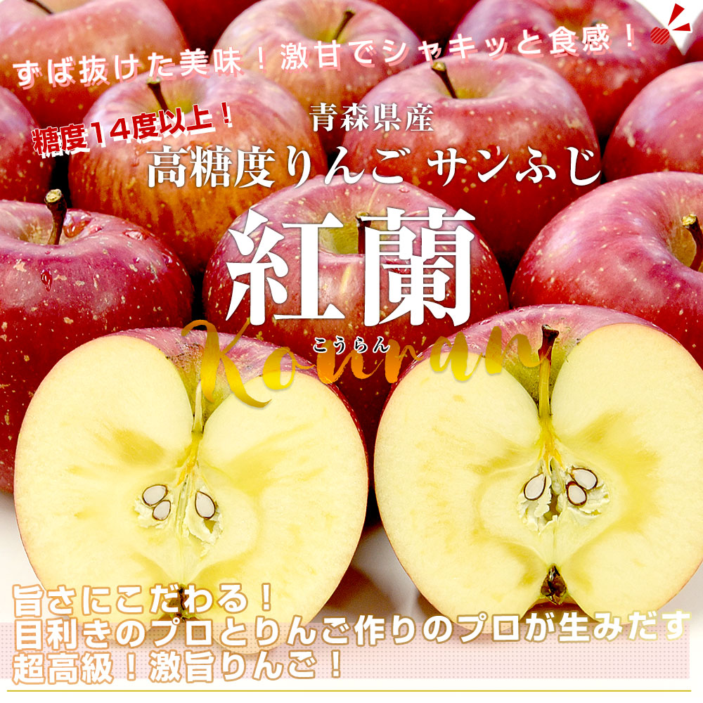 青森県産 高糖度りんご サンふじ 「紅蘭（こうらん）」 1.8キロ前後 (6玉) 送料無料 りんご リンゴ 林檎 市場発送-産直だより