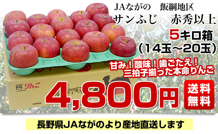 長野県より産地直送 JAながの 飯綱地区 サンふじ 赤秀以上 5キロ (14玉から20玉) 送料無料 林檎 りんご リンゴ | 長野県から産地直送,JAながの  | | 産直だより