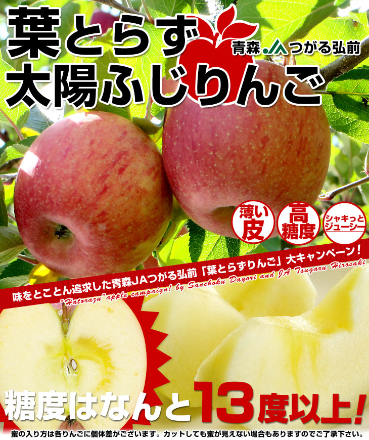 青森県より産地直送 JAつがる弘前 葉とらず太陽ふじりんご 3キロ(9玉から13玉) 糖度13度以上 林檎 リンゴ  送料無料｜産直だよりの通販・お取り寄せなら【ぐるすぐり】