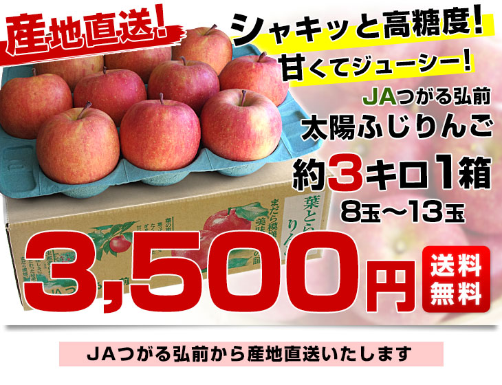 青森県より産地直送 JAつがる弘前 葉とらず太陽ふじりんご 3キロ(9玉から13玉) 糖度13度以上 林檎 リンゴ 送料無料｜産直だより の通販・お取り寄せなら【ぐるすぐり】