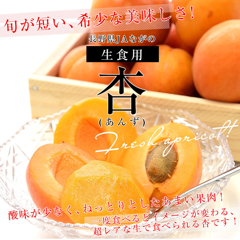 生食用杏2.5kg 10(ＥＭ栽培)