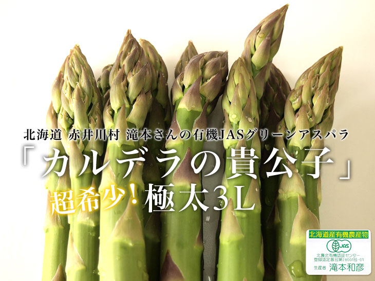 春芽アスパラ500グラム（Ｍ〜2Lサイズ） - 野菜