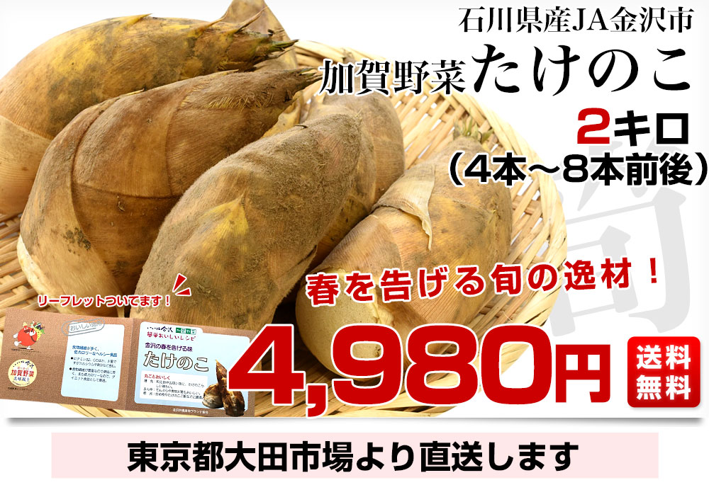 石川県産 JA金沢市 加賀野菜 タケノコ 2キロ (4本から8本前後) 送料