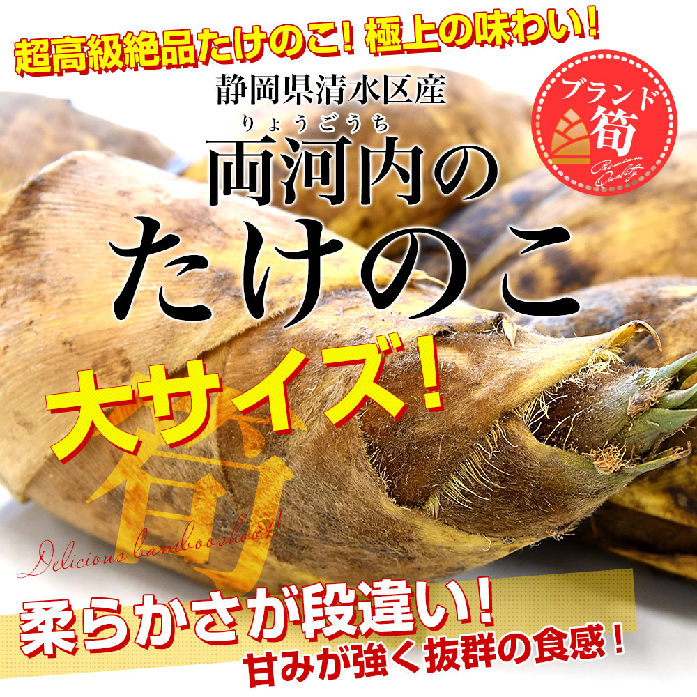 たけのこ 筍 タケノコ 長崎県産5キロ - 野菜