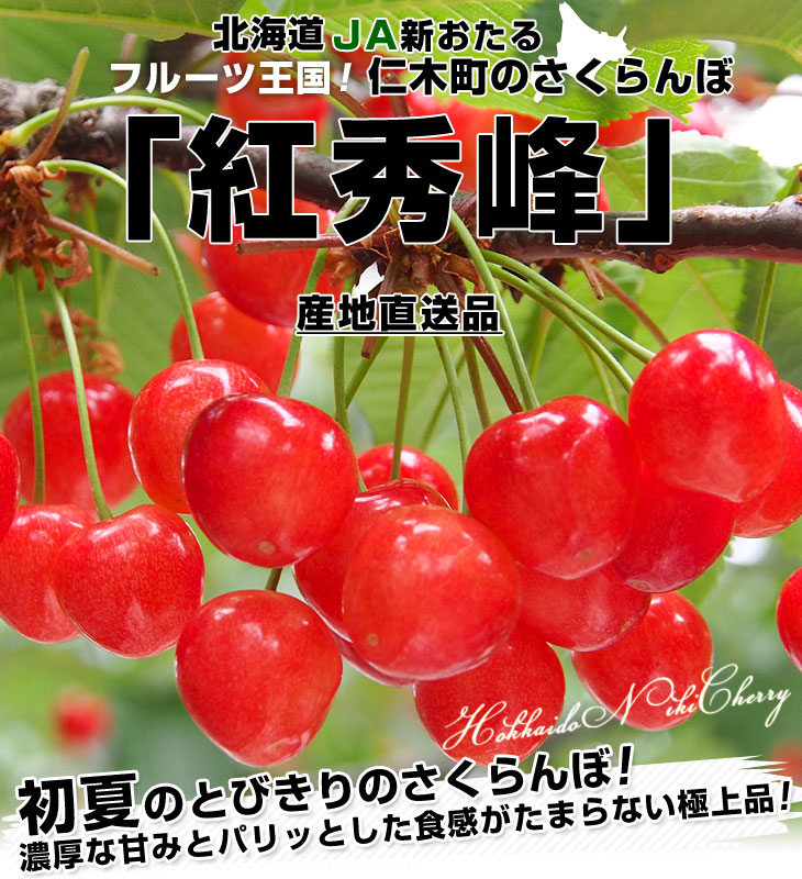 北海道から産地直送 JA新おたる 仁木町のさくらんぼ（紅秀峰） 秀品 2Lサイズ 1キロ（500g×2パック入）送料無料 サクランボ ※クール便 |  北海道から産地直送