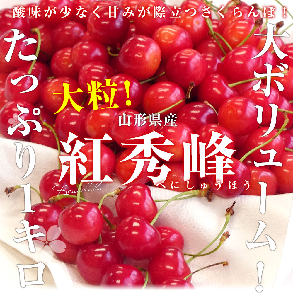 山形県より産地直送 さくらんぼ「紅秀峰」秀品　2Lサイズ　約1キロ（500g×2） 送料無料 クール便　サクランボ　桜桃-産直だより