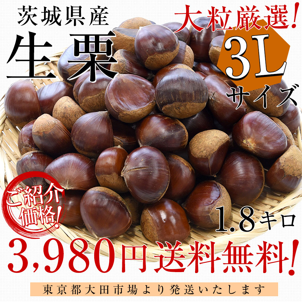 茨城県 生栗 1.8キロ 3Lサイズ 送料無料 大粒栗 和栗 くり マロン 市場