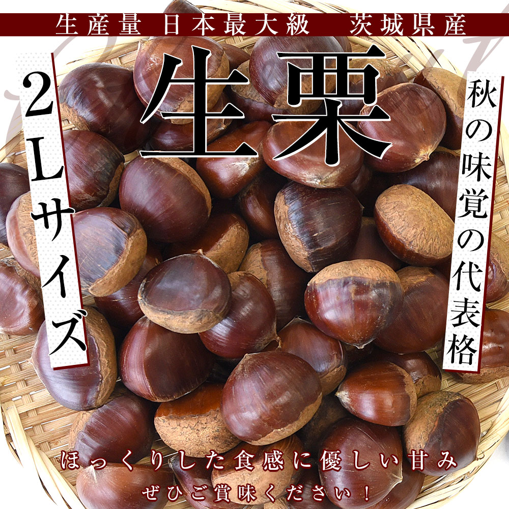 茨城県産　和栗大きめ5キロ2Lサイズ以上 楽天市場】”茨城の和栗” 秀品 大粒2L〜3Lサイズ 約4.5〜5kg
