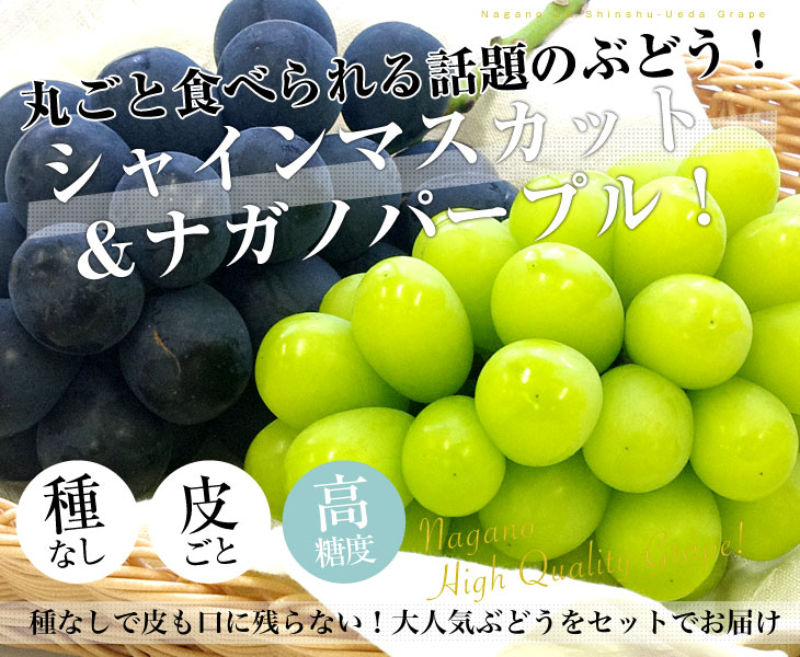 送料無料 長野県より産地直送 JA信州うえだ ナガノパープルとシャイン