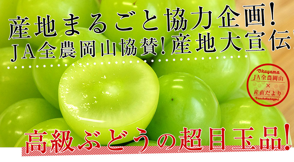 岡山県産 JA全農おかやま シャインマスカット 晴王 青秀以上 約1.2キロ(600g×2房) 葡萄 ぶどう ブドウ 送料無料 市場発送 クール便 |  市場発送商品 | | 産直だより