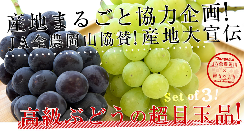 敬老の日に最適 JA全農おかやま協賛 岡山県産 高級ぶどう3種セット（シャインマスカット＆アレキサンドリア＆ニューピオーネ 合計3房 ）(500gから600g×3房）送料無料 | すべての商品 | | 産直だより