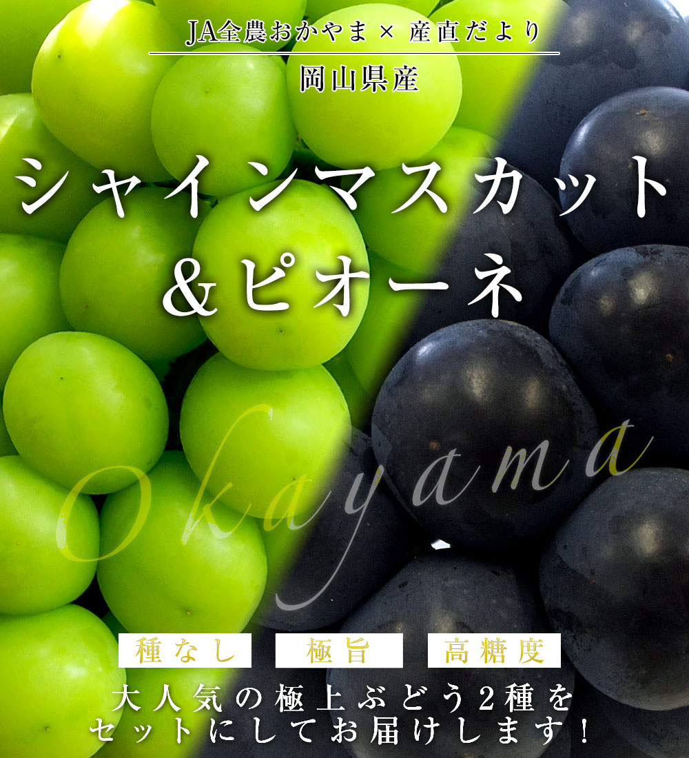 JA全農おかやま協賛 岡山県産 シャインマスカット＆ピオーネ 2種セット 秀品 大房2房入 (約600g×2房）送料無料 葡萄 ぶどう-産直だより