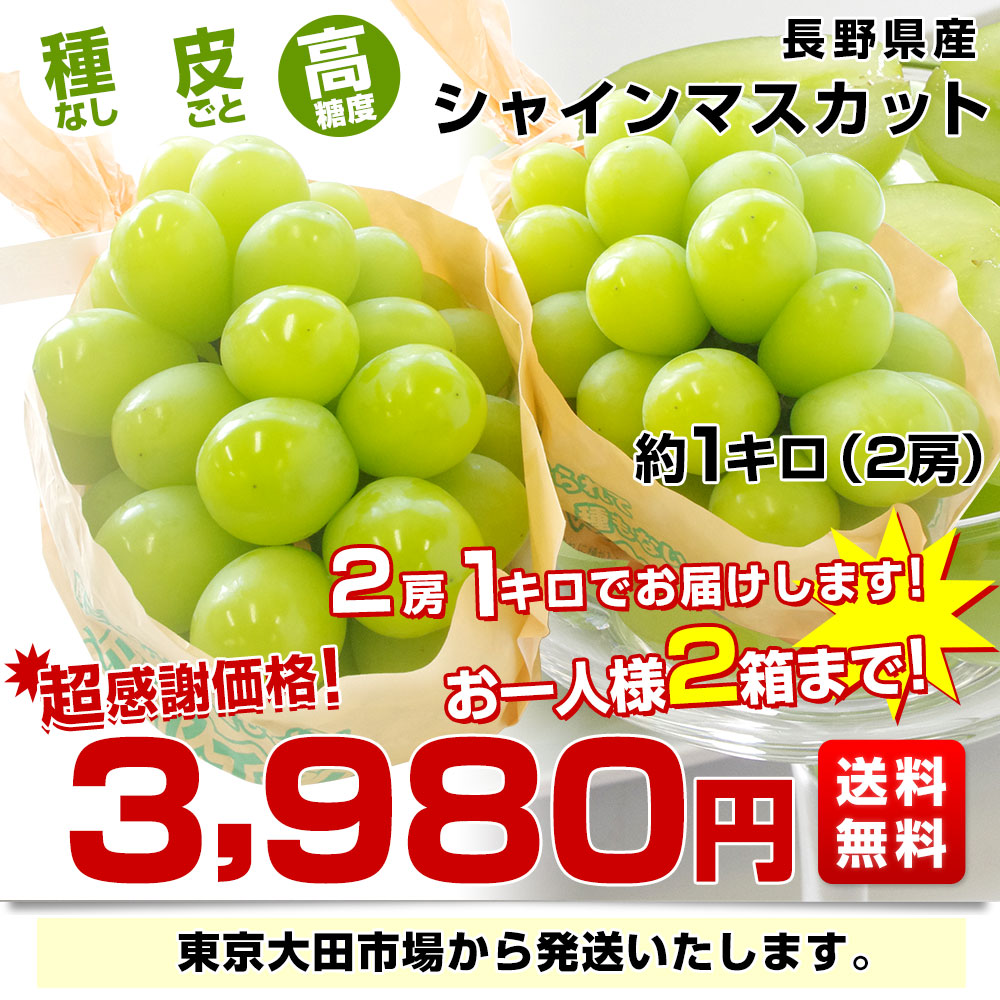 長野県産 シャインマスカット 約1キロ（2房）送料無料 ぶどう ブドウ 種なしぶどう クール便発送 市場発送商品 産直だより