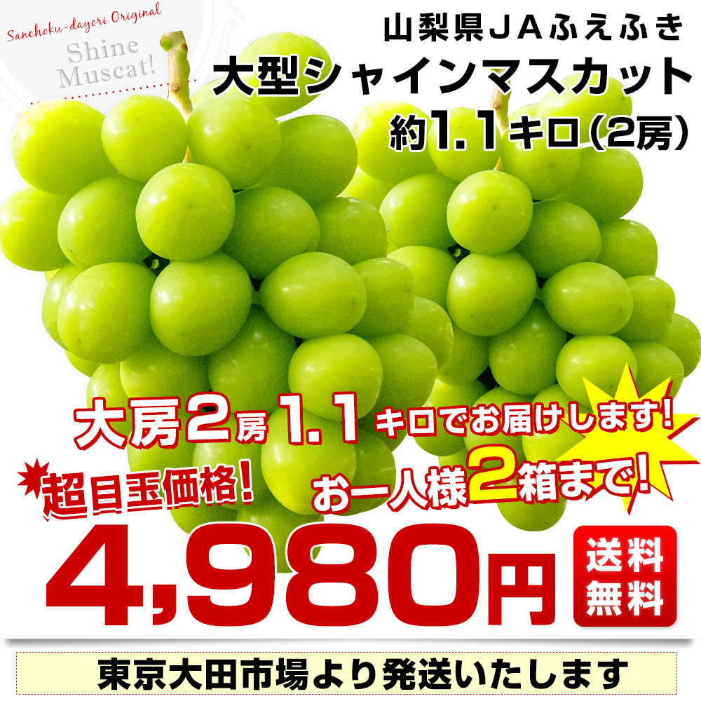 山梨県産 JAふえふき 大型シャインマスカット約1.1キロ（2房）送料無料