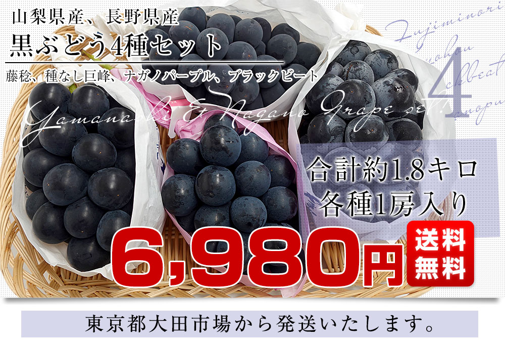 www.haoming.jp - 山梨県牧丘産 小粒赤粒巨峰ぶどう葡萄1kg 価格比較