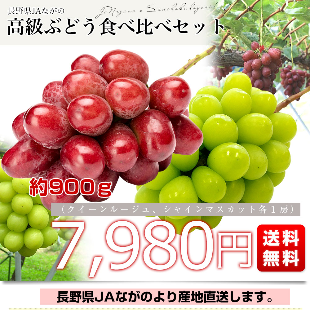 長野県より産地直送 JAながの 究極の食べ比べ！ 高級ぶどうセット約900ｇ （クイーンルージュ＆シャインマスカット各１房）送料無料 ぶどう  葡萄-産直だより