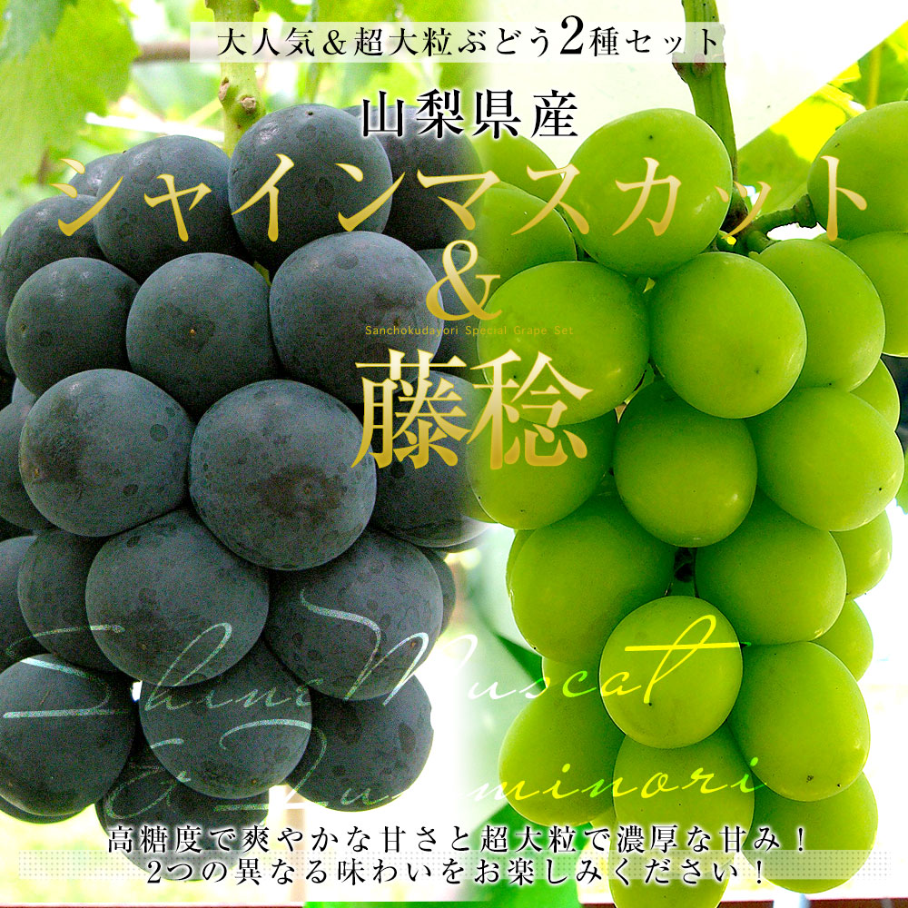 山梨県産 シャインマスカット＆藤稔 合計約1キロ(各1房入り) 送料無料