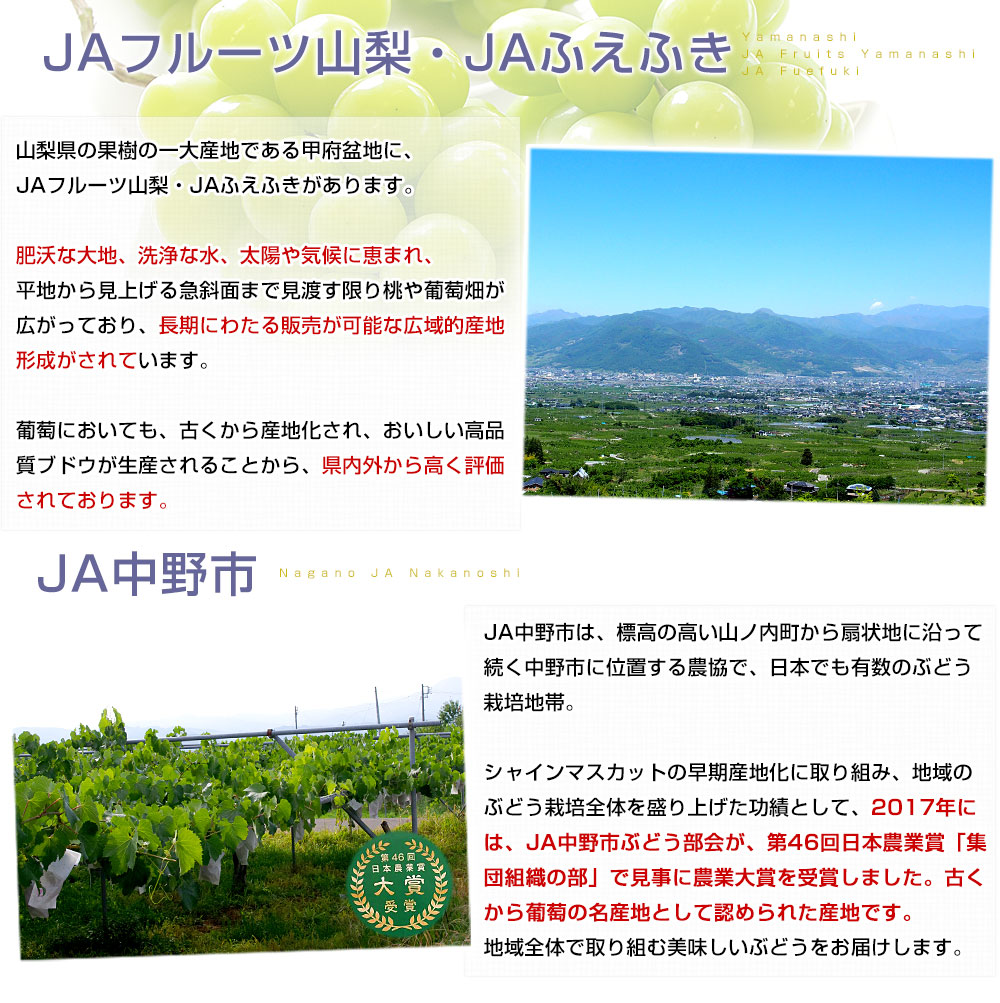 産地の説明1