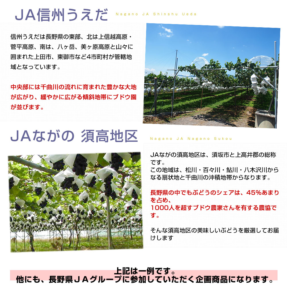 産地の説明2