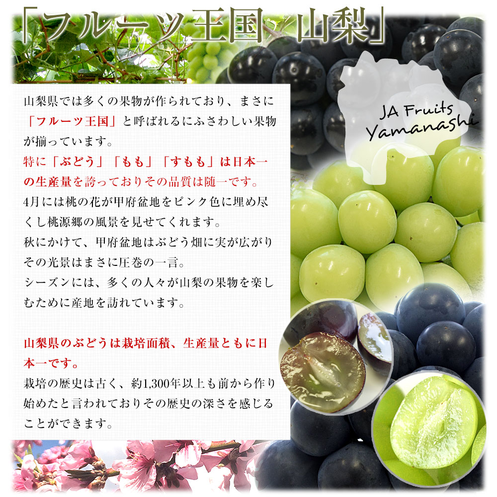 フルーツ王国山梨