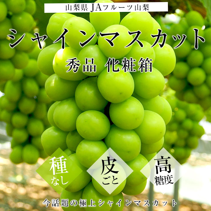 【シャインマスカット4房】山梨県産シャインマスカット 化粧箱・送料込み