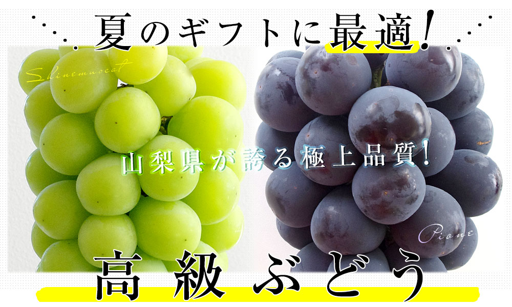 SALE／88%OFF】 優秀品 種無し巨峰 山梨 ぶどう 産地直送 ...